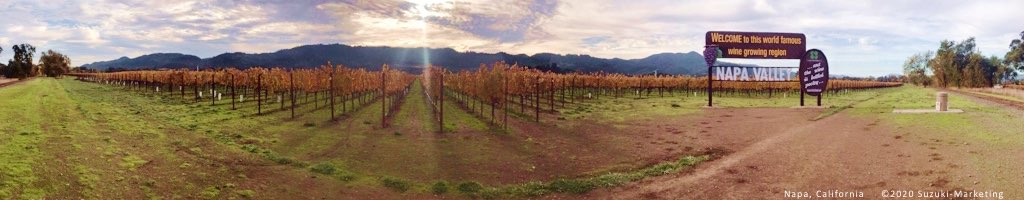 Napa Valley Sign, ©2020 Richard Bischoff